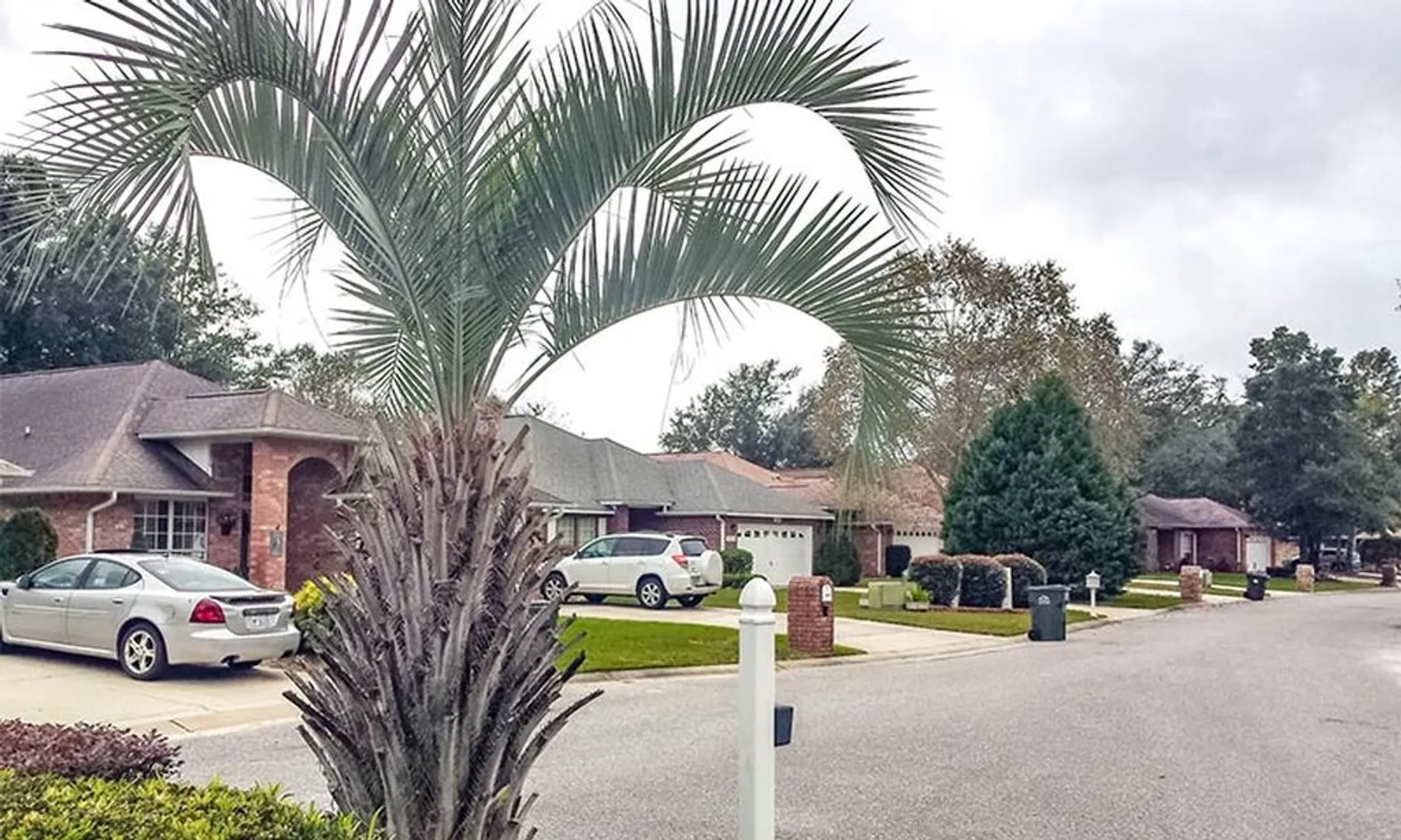 Single-Family Homes
