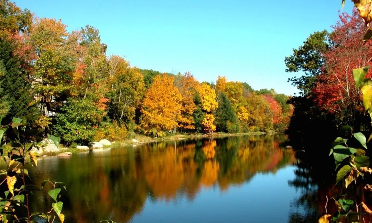 Scenic Ponds