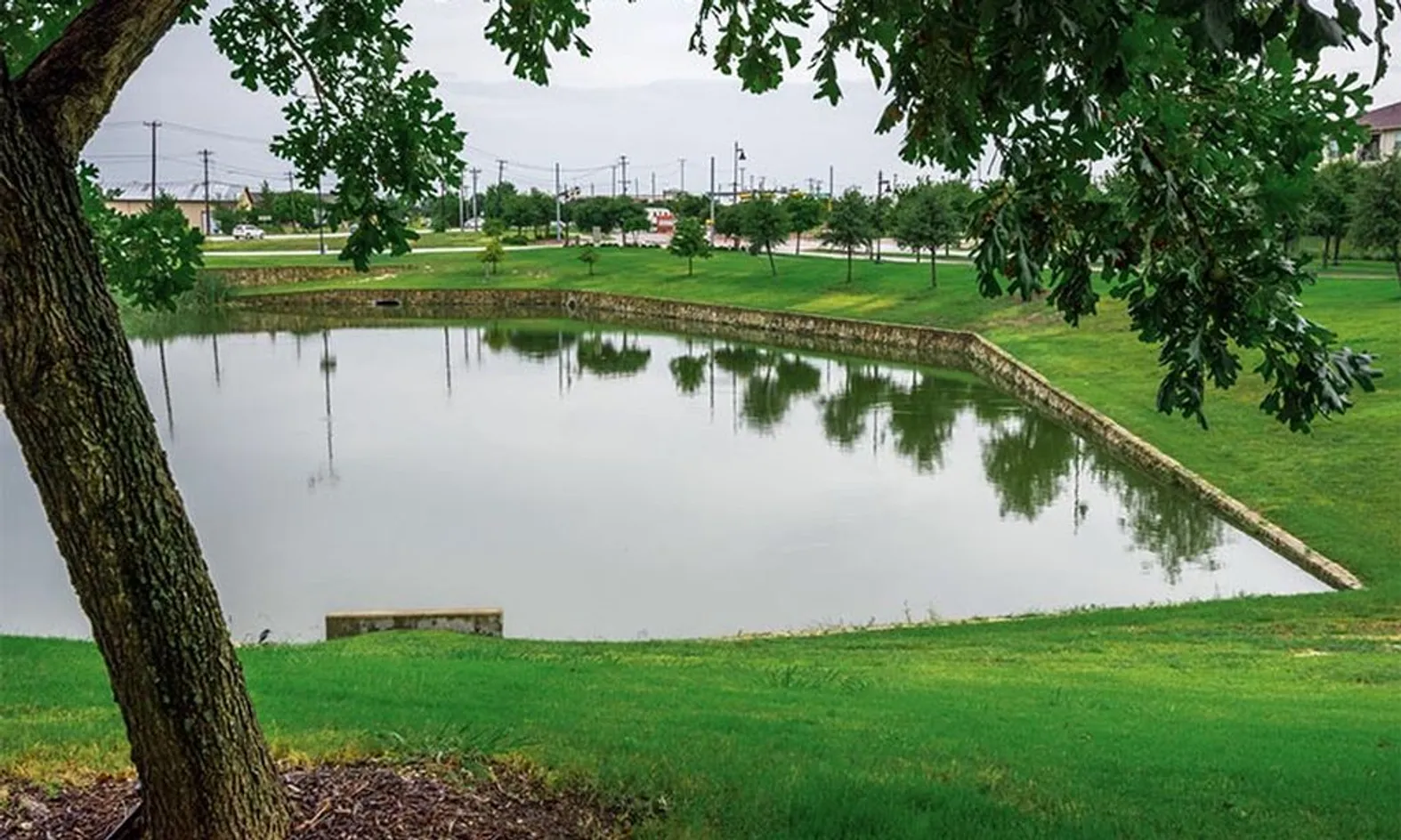 Pond