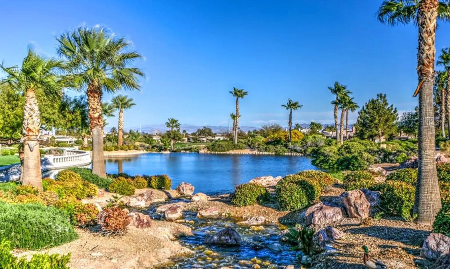 Parks & Natural Space