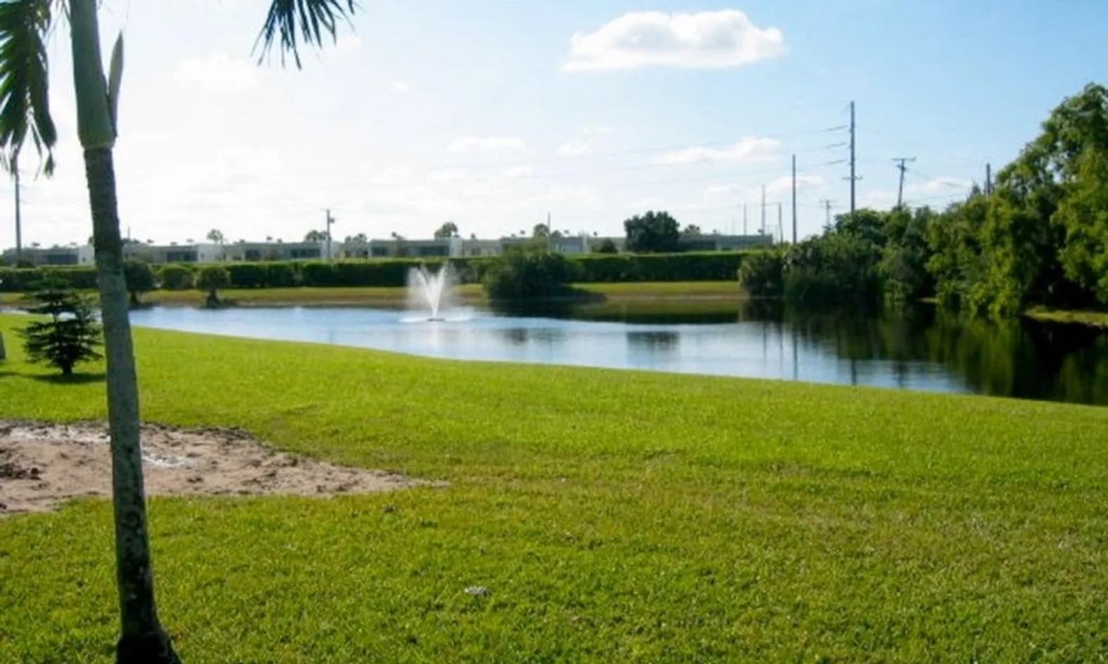Scenic Ponds