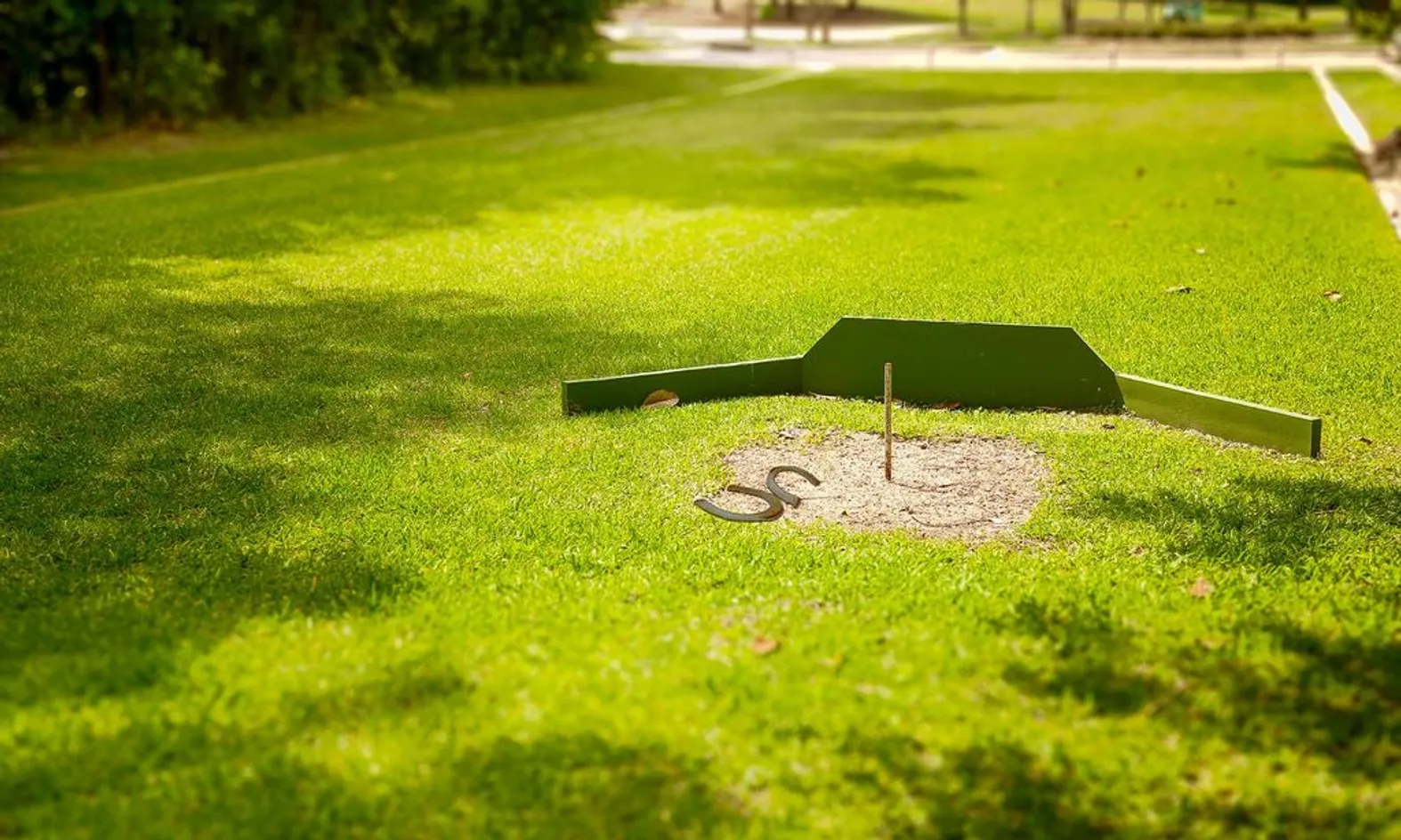 Horseshoes