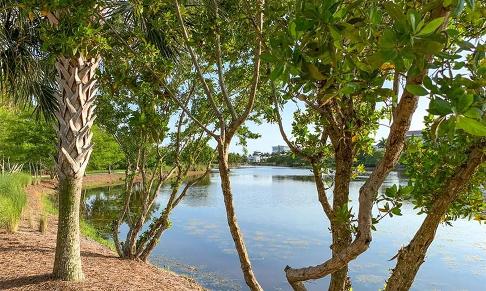 Scenic Ponds