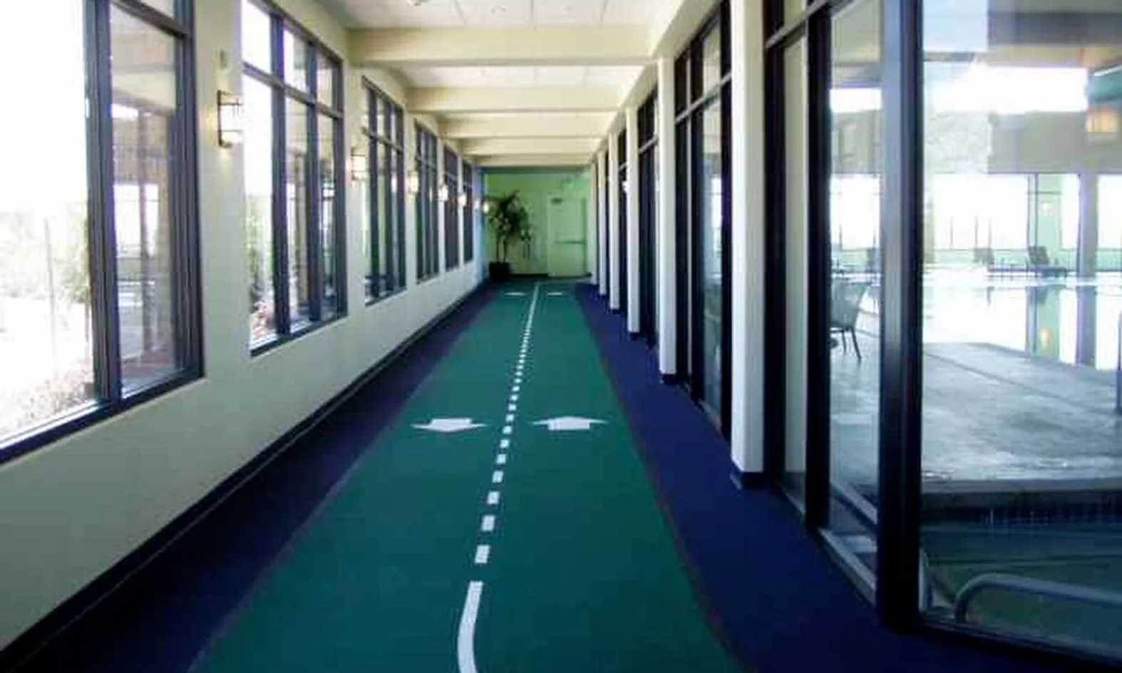 Walking Track with Beautiful Views