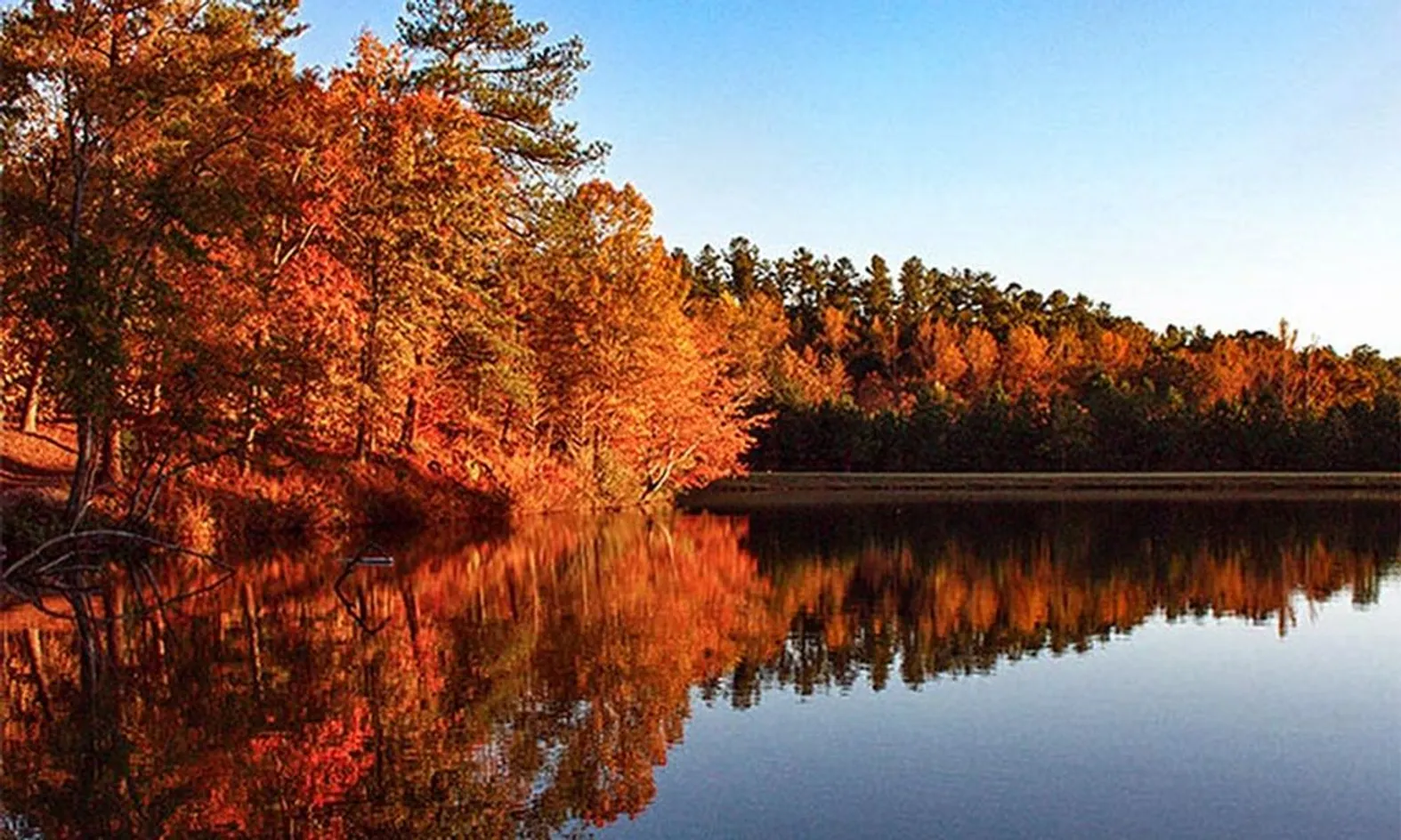 Scenic Pond