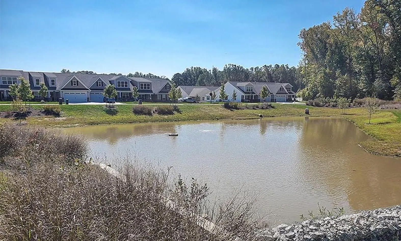 Pond