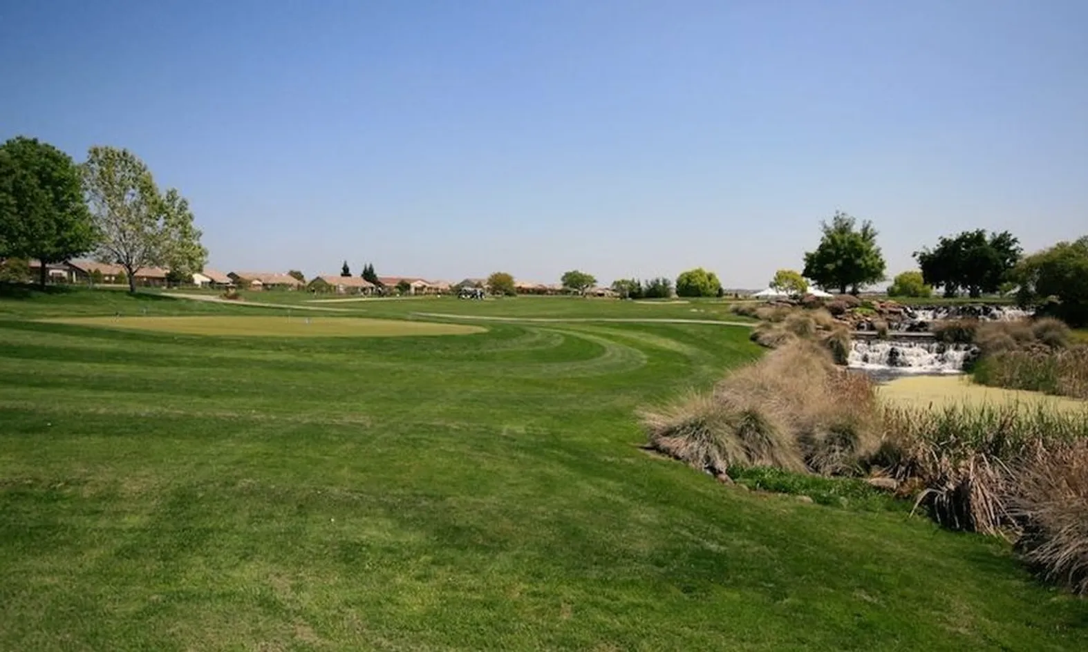 Manicured Golf Courses