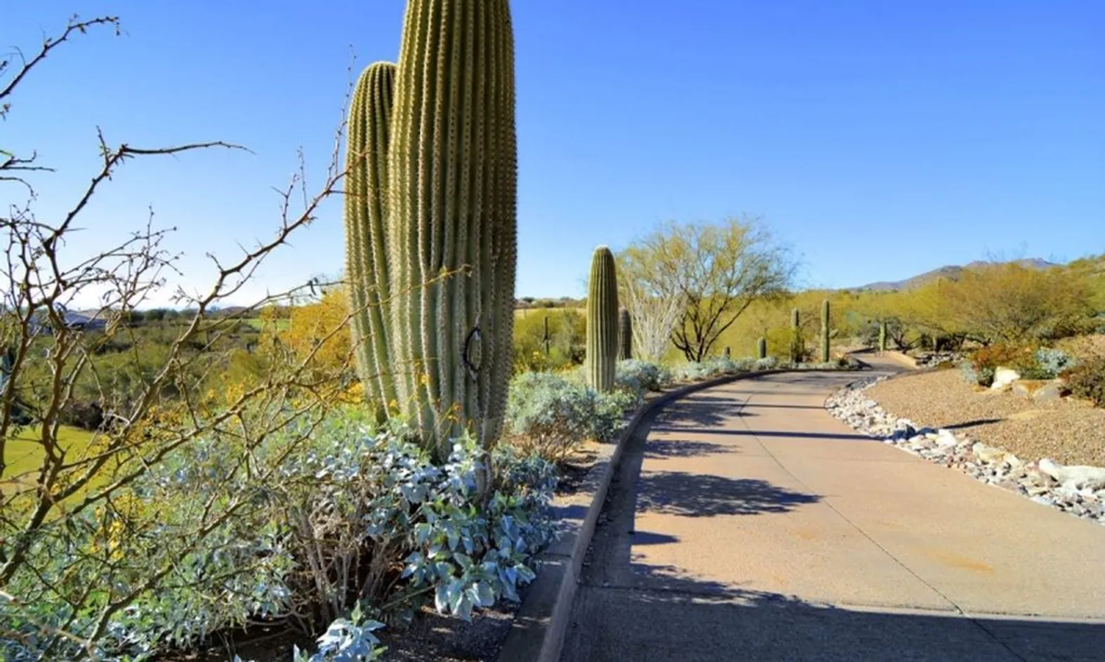 Scenic Walking Trails