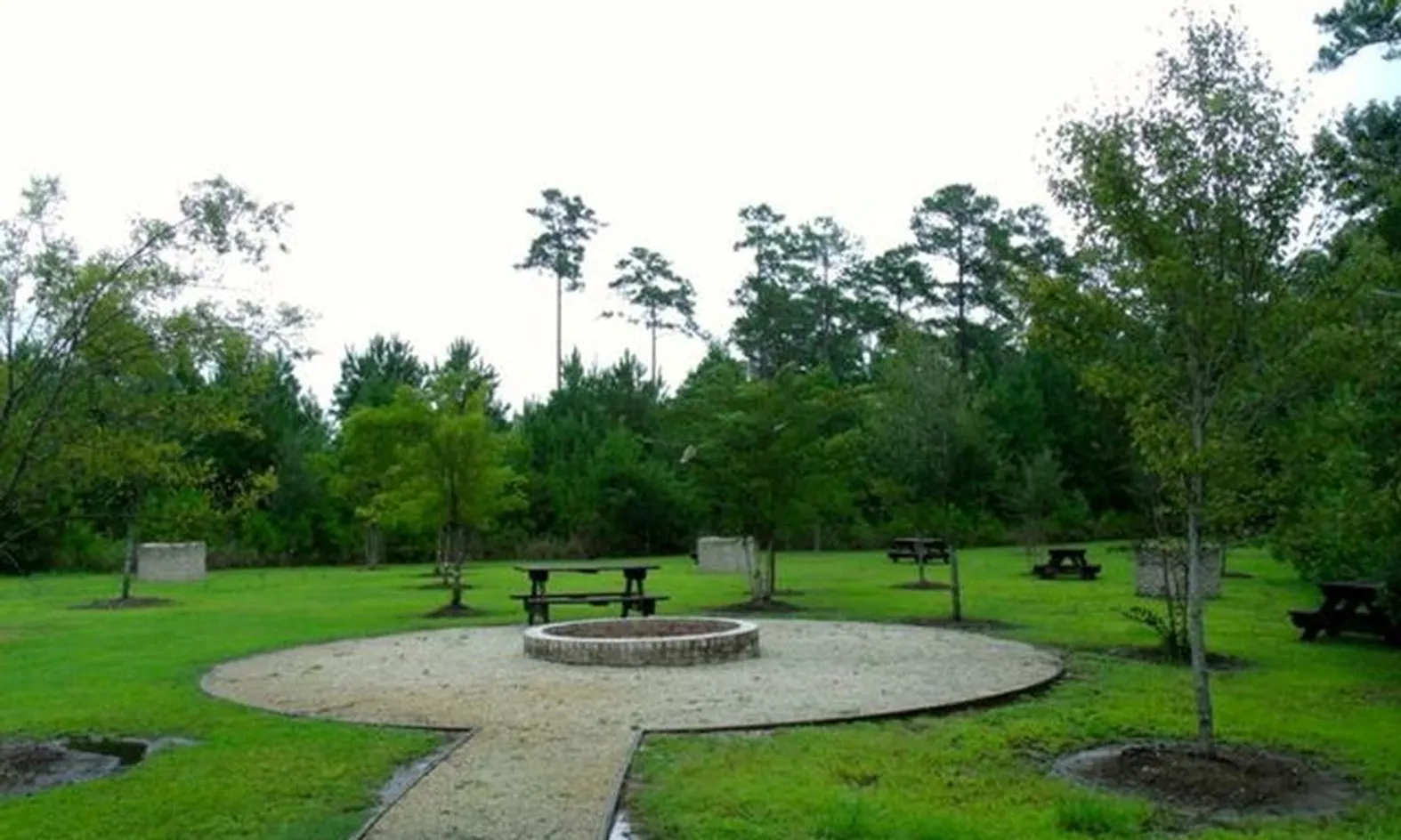 Fire Pit