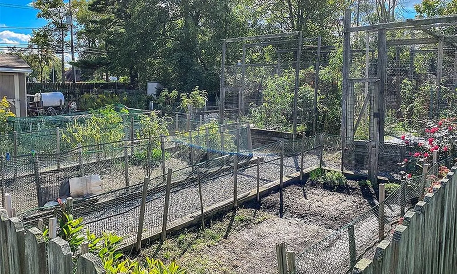 Community Garden