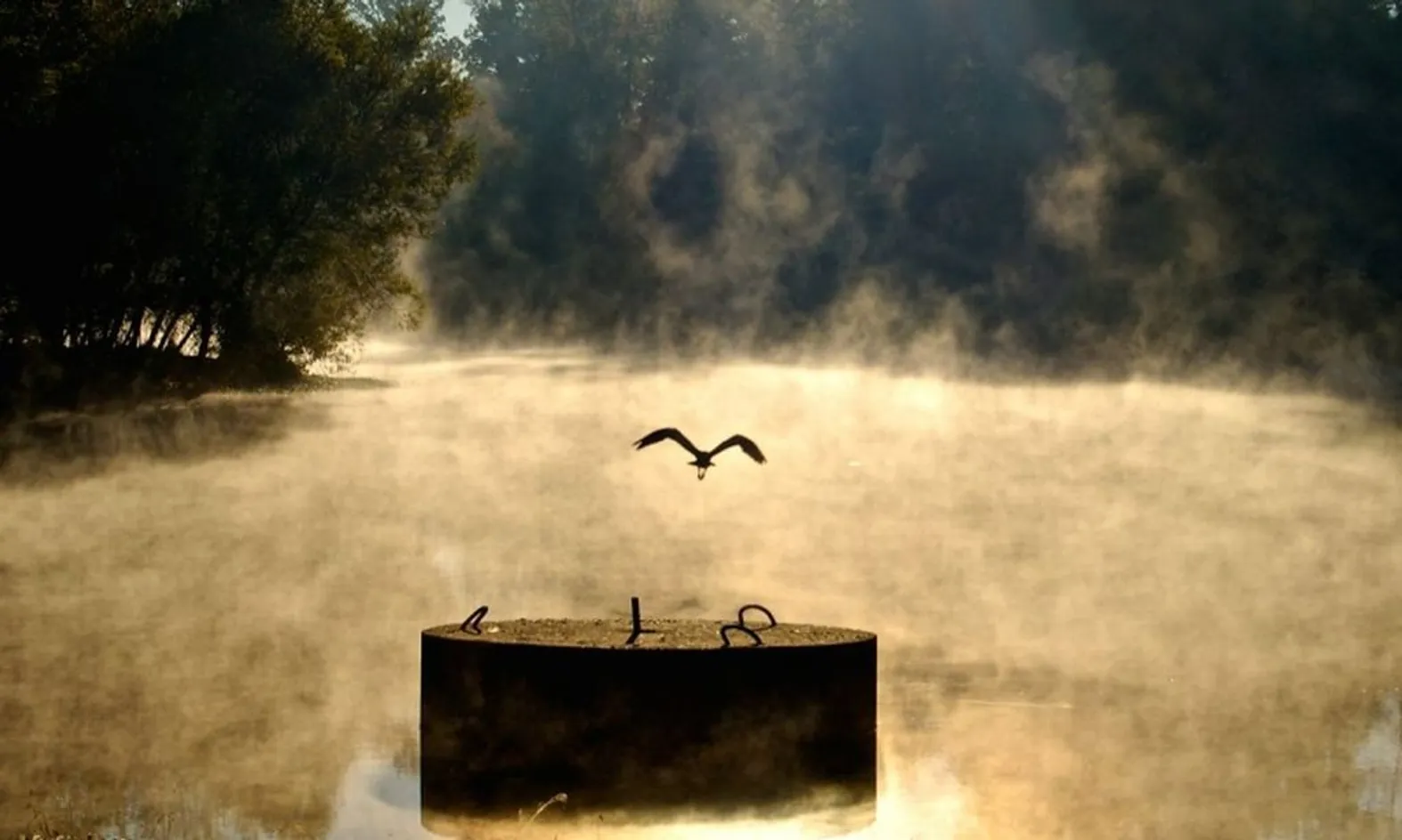 Preserved Land