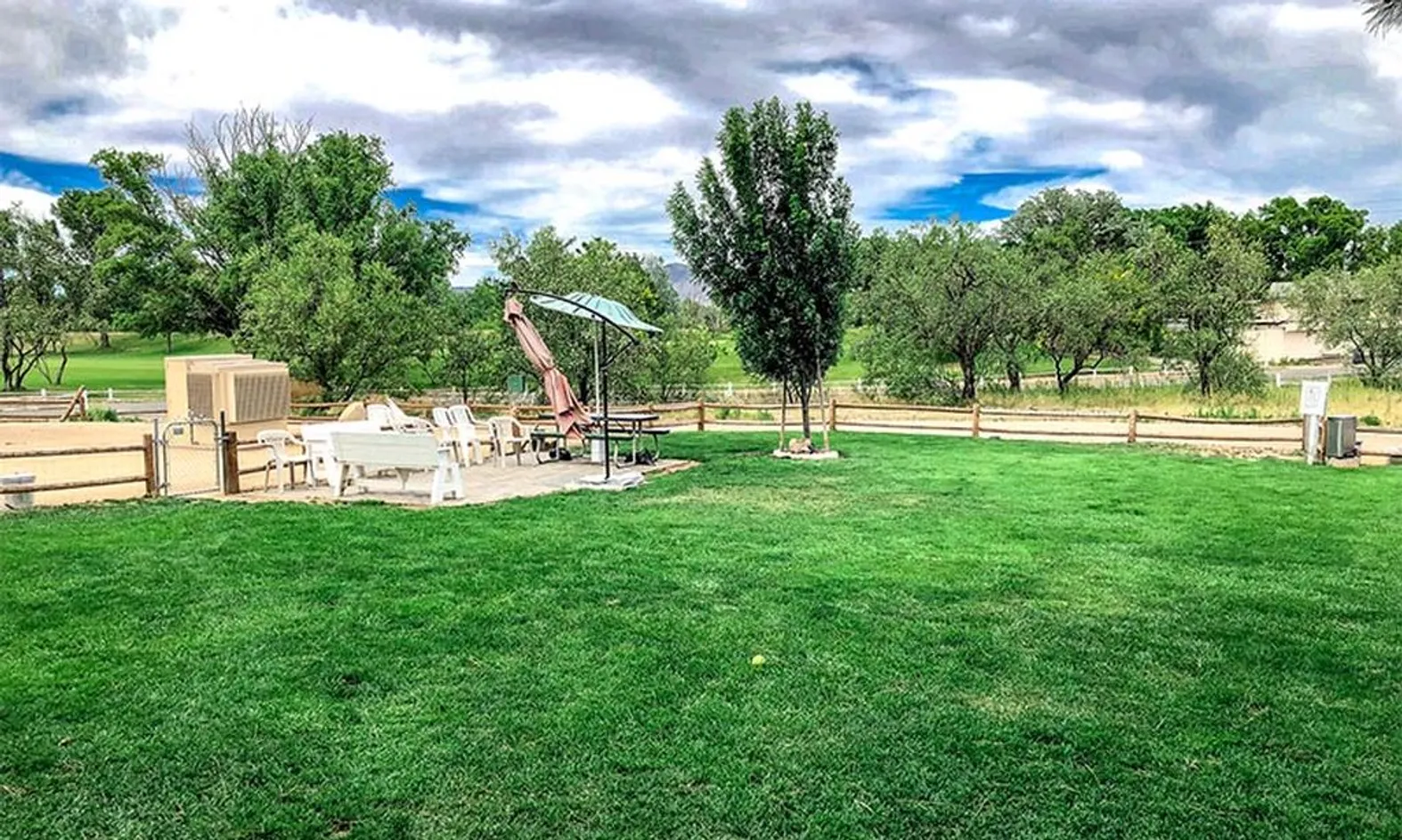 Lawn & Patio Space