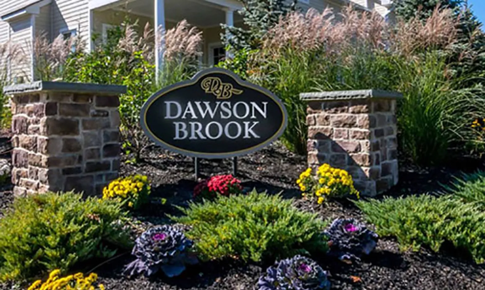 Dawson Brook - Randolph, NJ