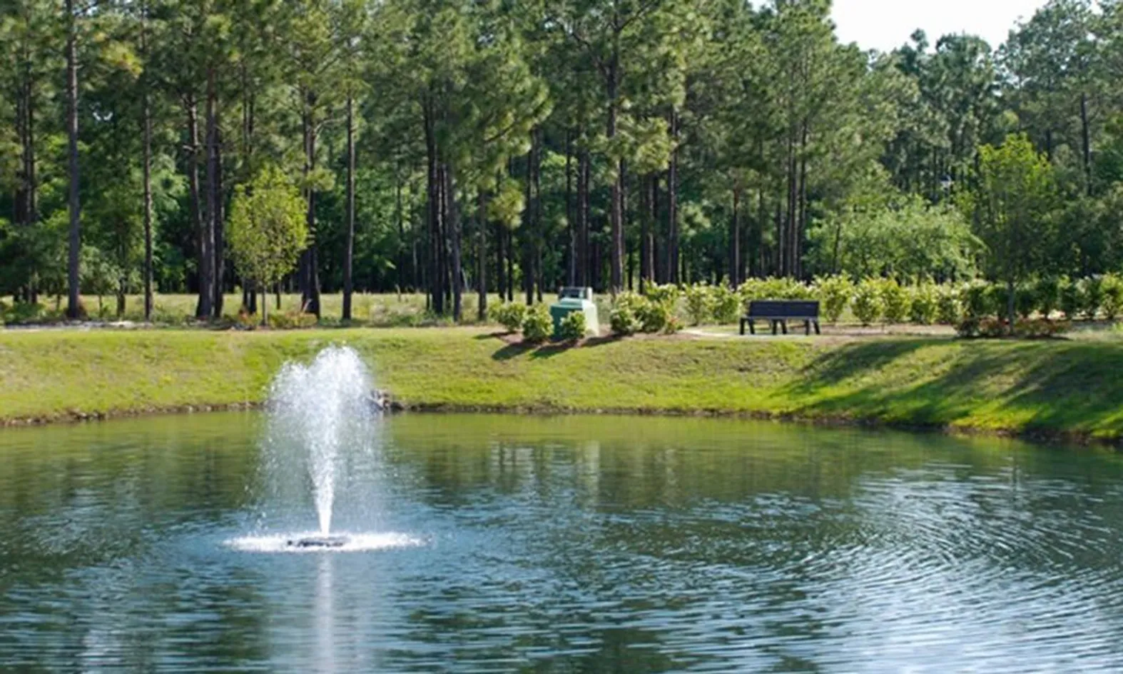 Scenic Lakes