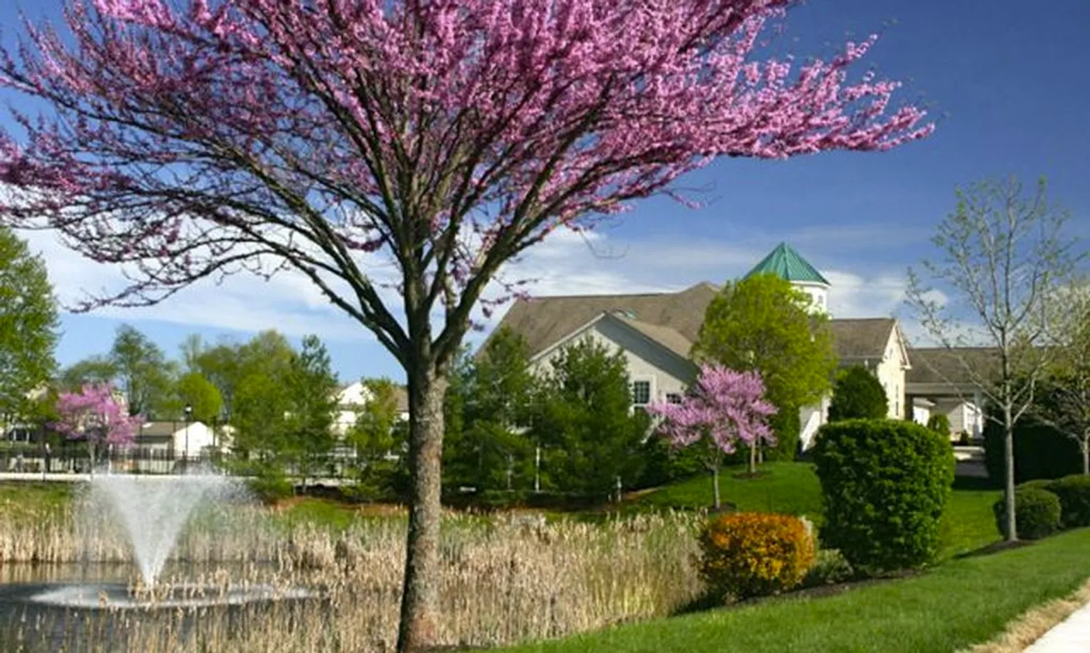 Scenic Ponds
