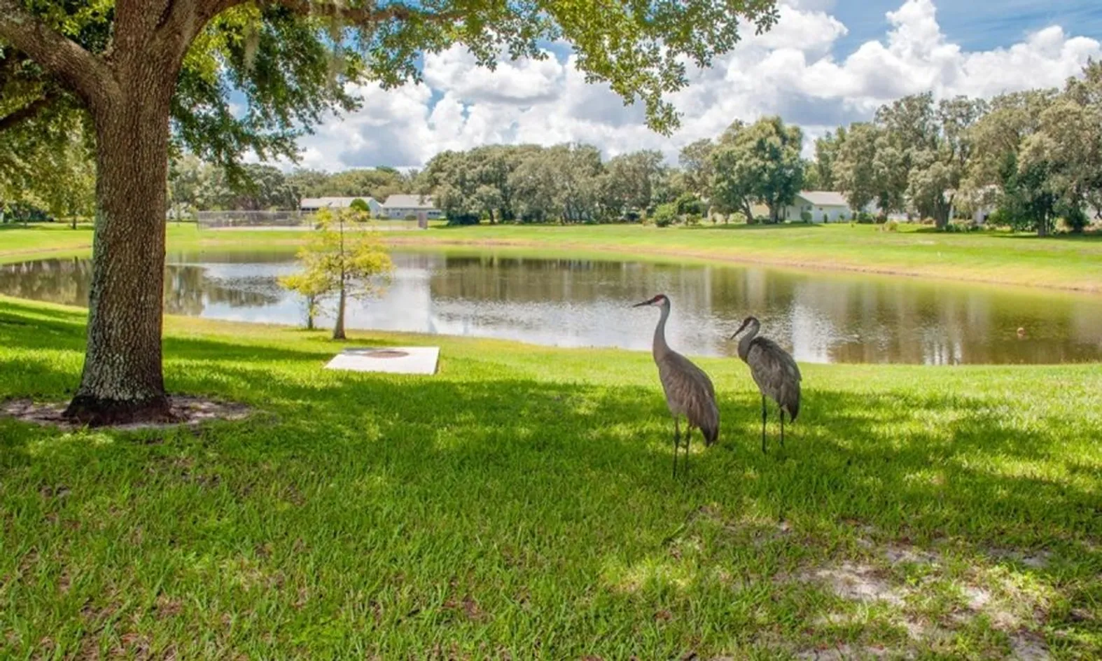 Scenic Lakes