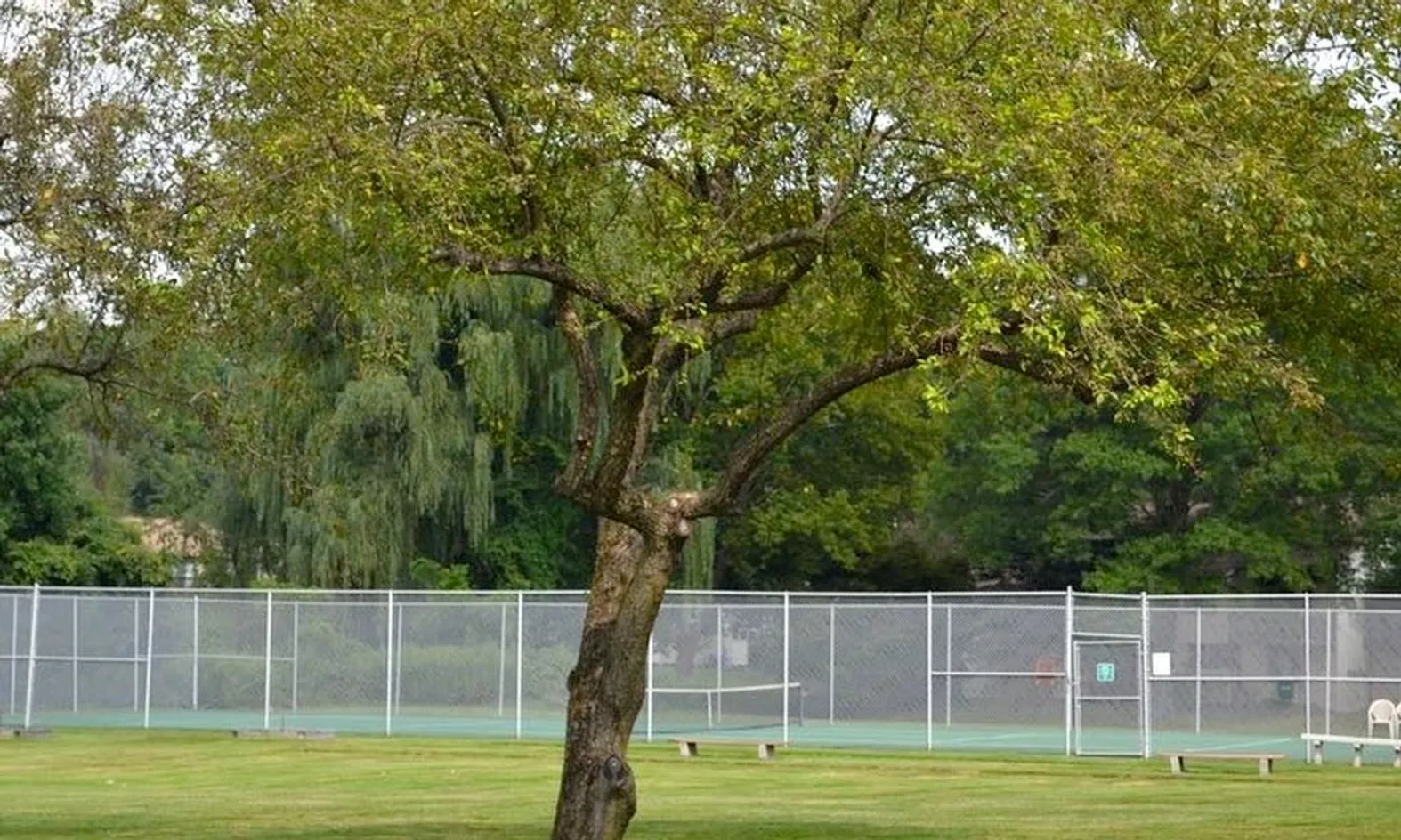 2 Tennis Courts