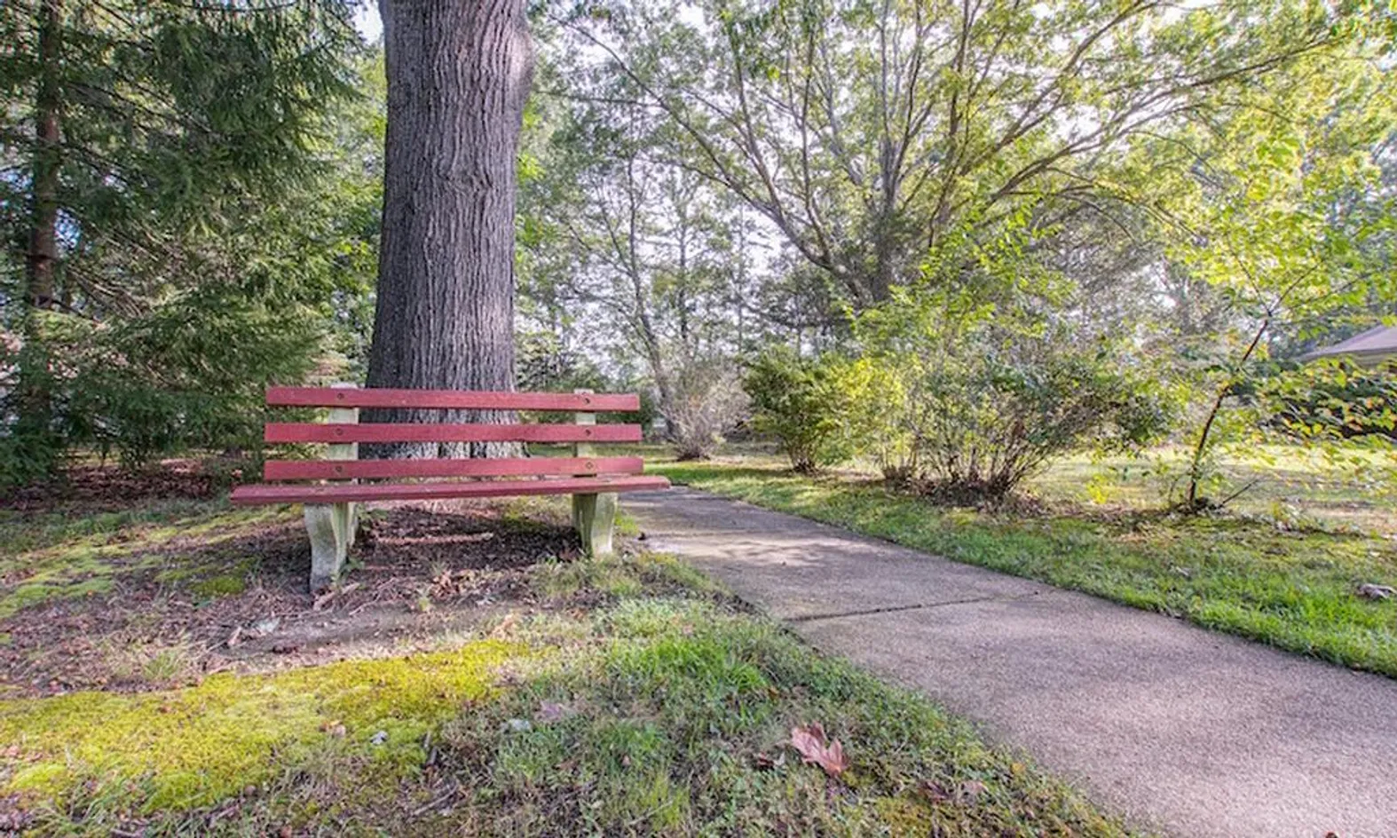 Scenic Walking Paths