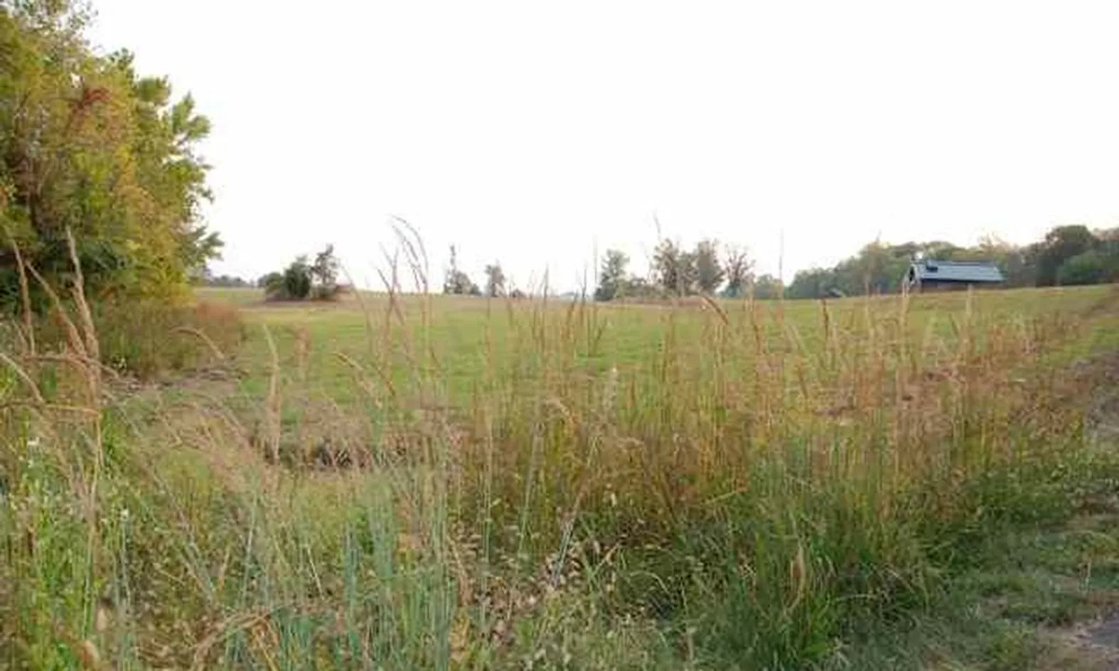Natural Spaces