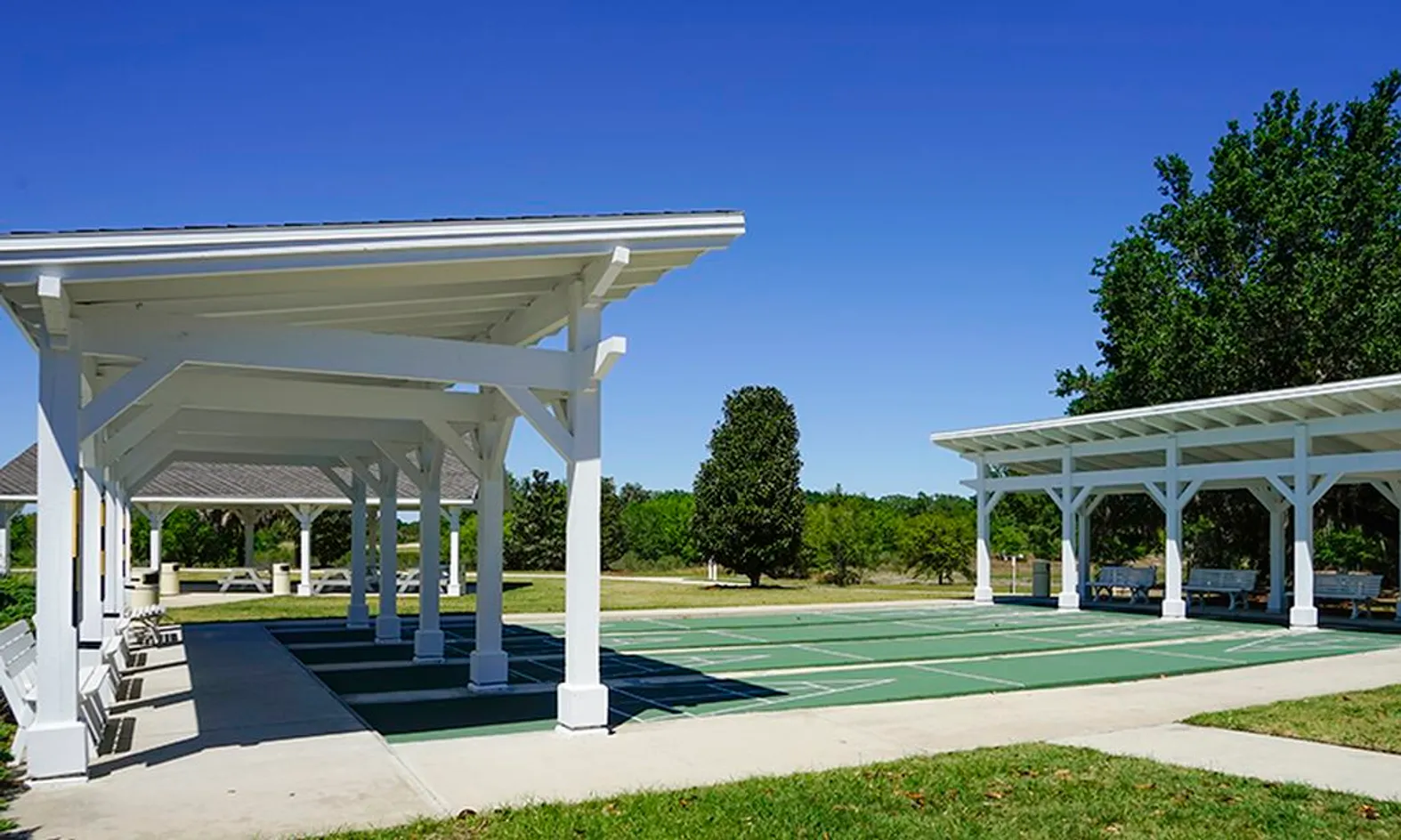 Shuffleboard