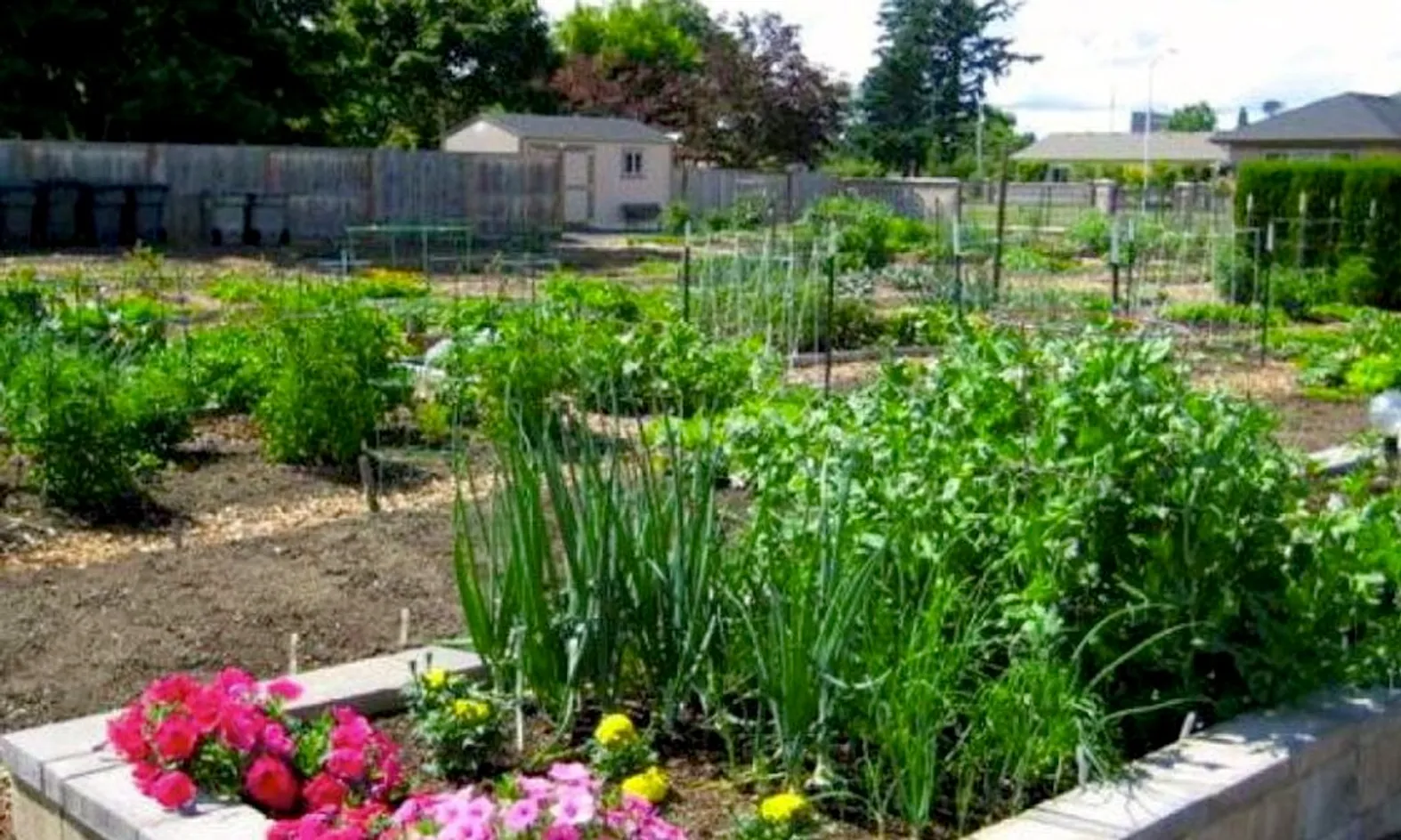 Community Garden