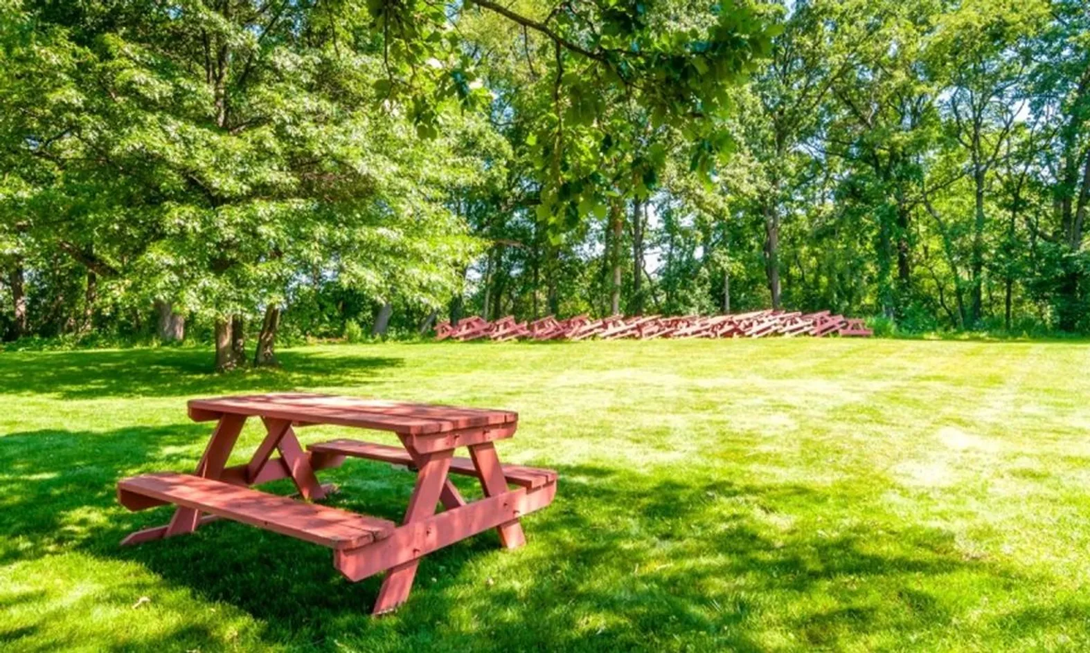 Picnic Area