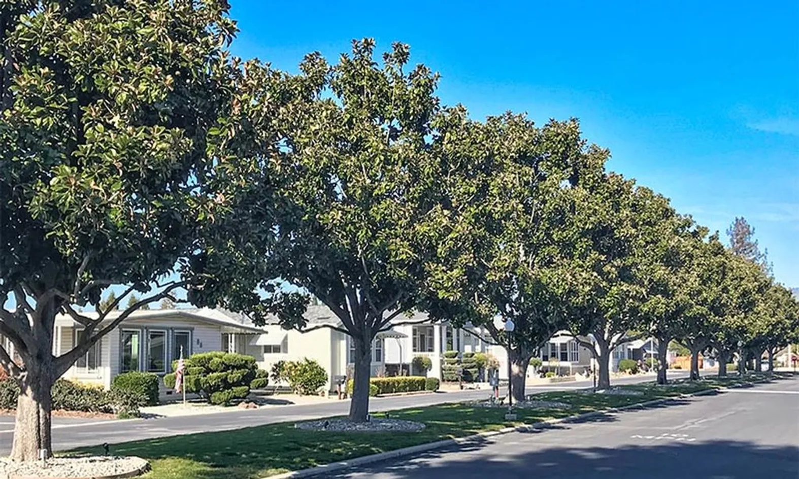 Single-Family Homes