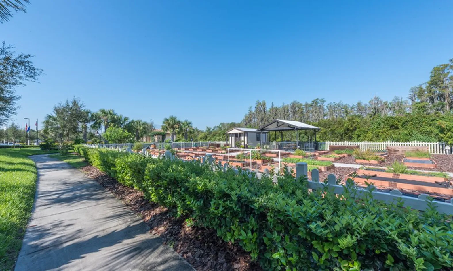 Paved Walking Paths