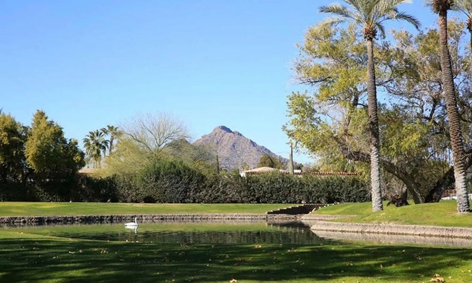 Scenic Ponds