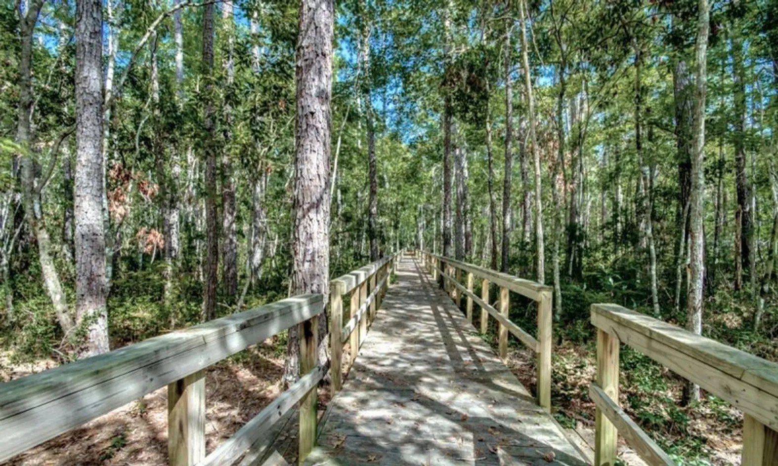 Walking & Biking Trails