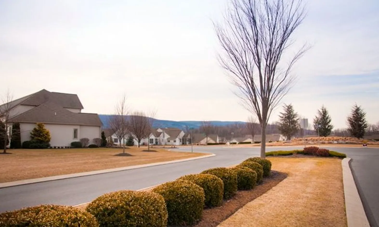 Landscaped Common Areas