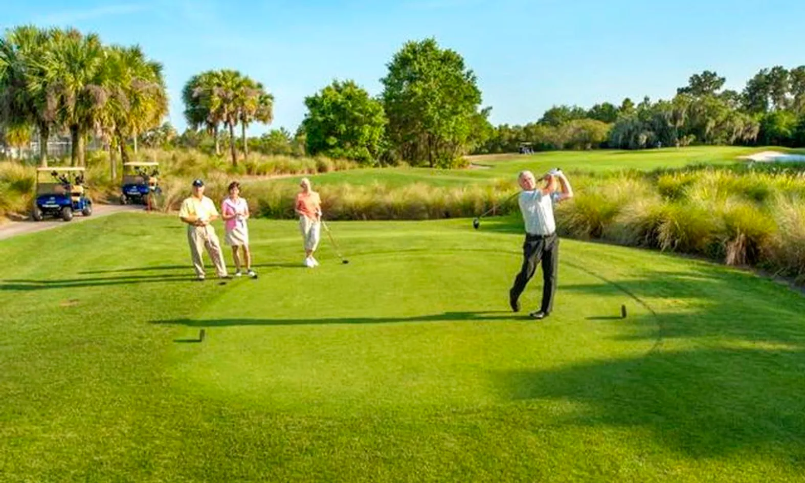 Champion & Executive Golf Courses