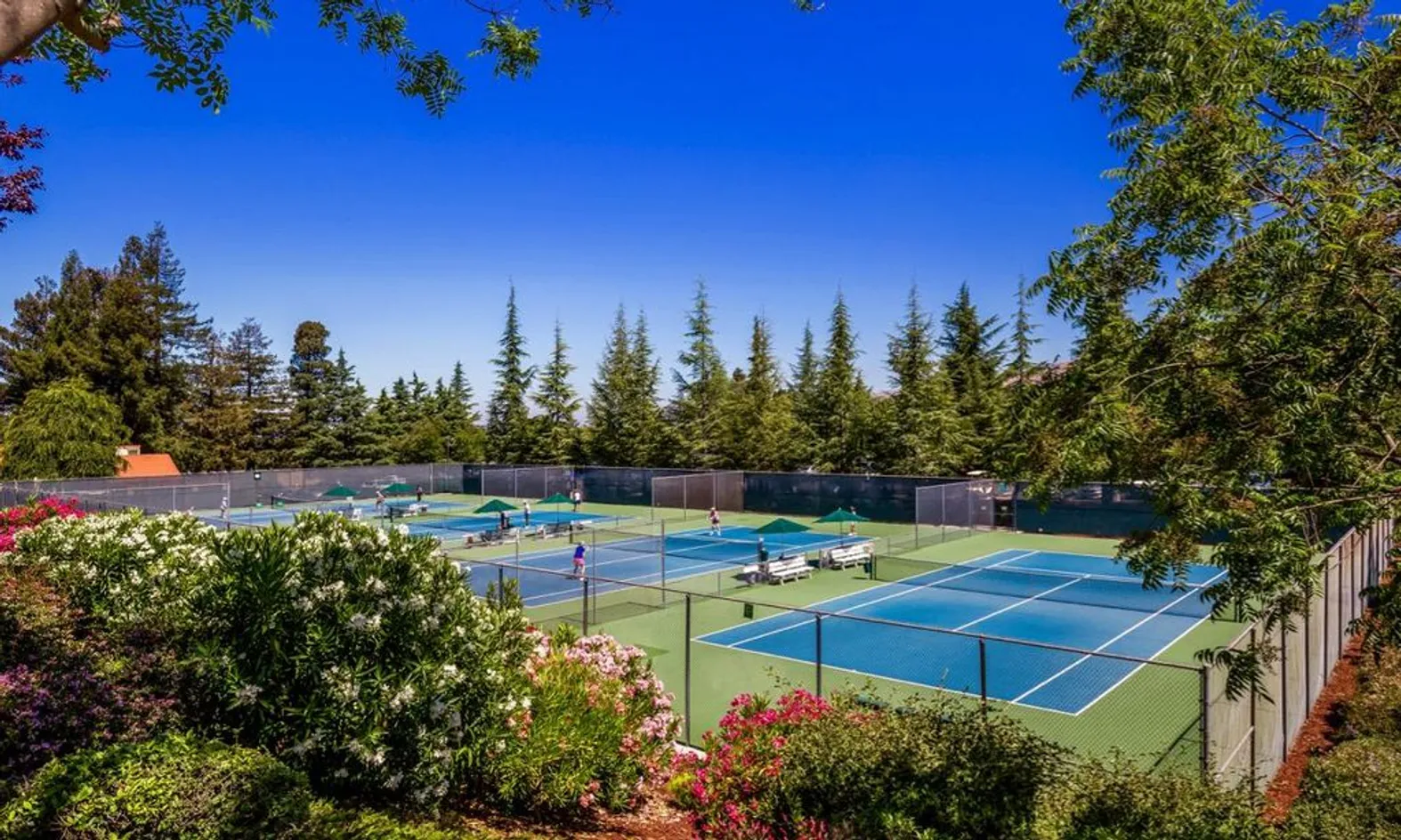 6 Tennis Courts