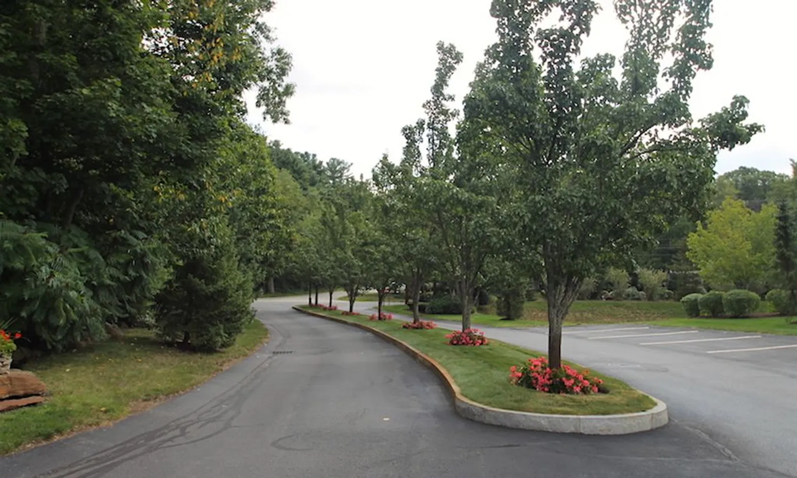 Tree-Lined Streets