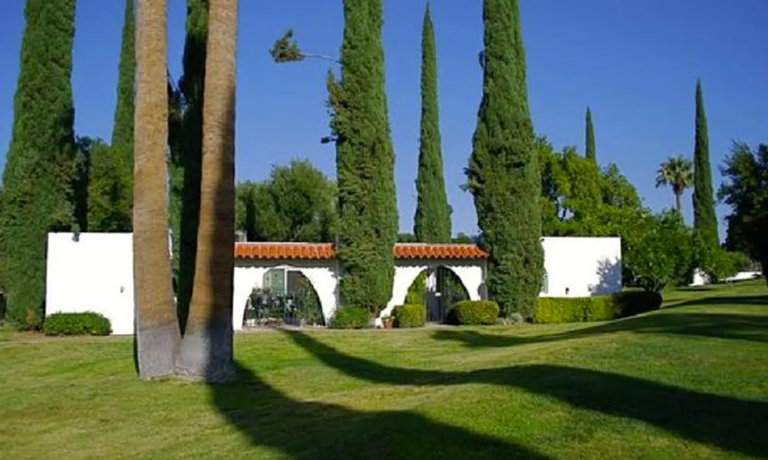 Lush Landscaping