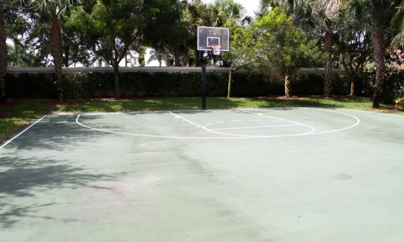 Half-Court Basketball