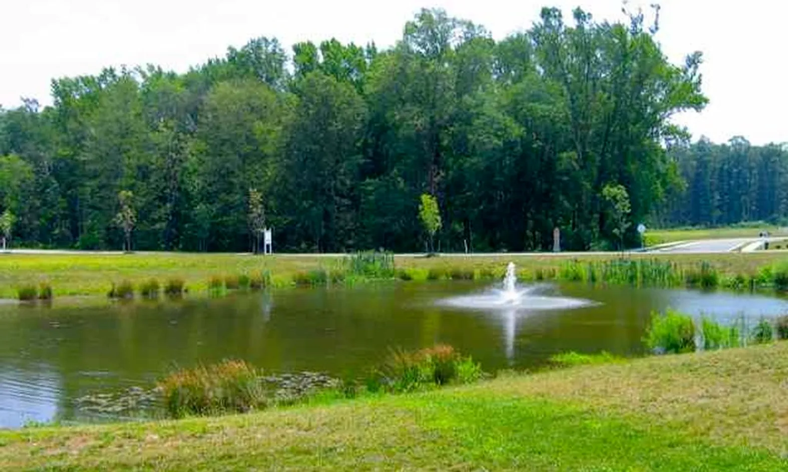 Mature Woods & Scenic Ponds