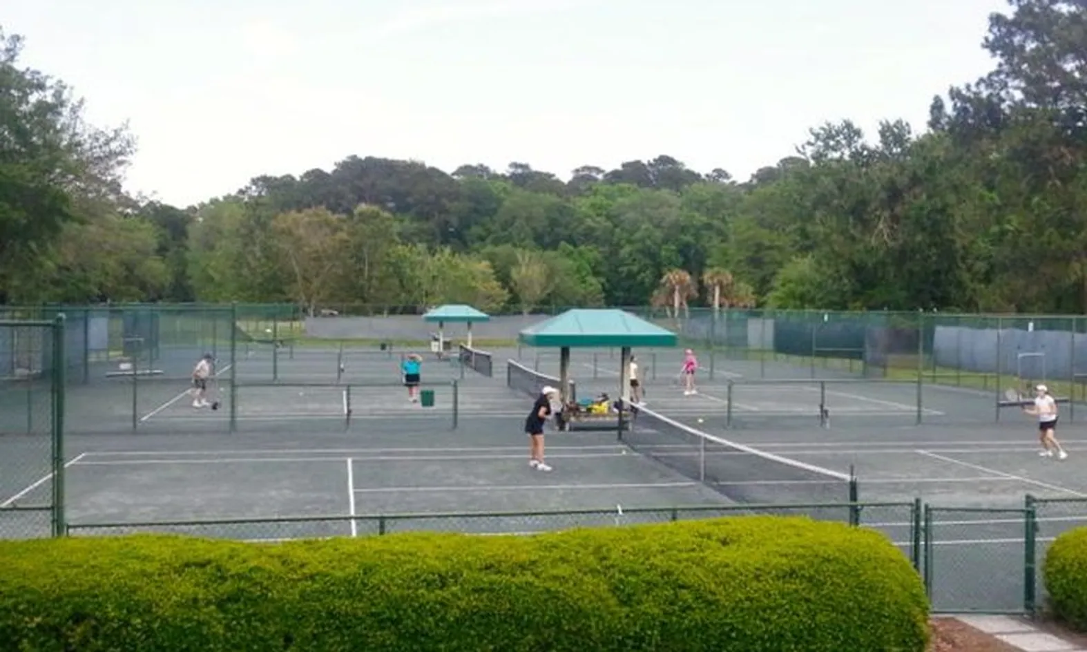 12 Har-Tru Tennis Courts