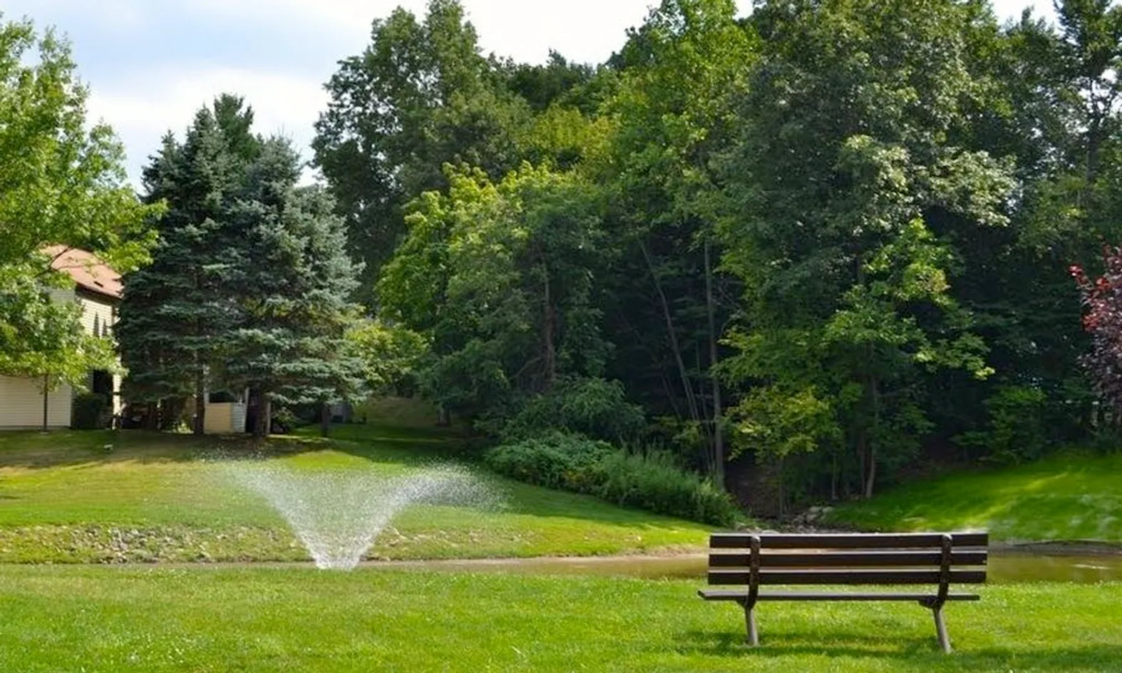 Scenic Ponds