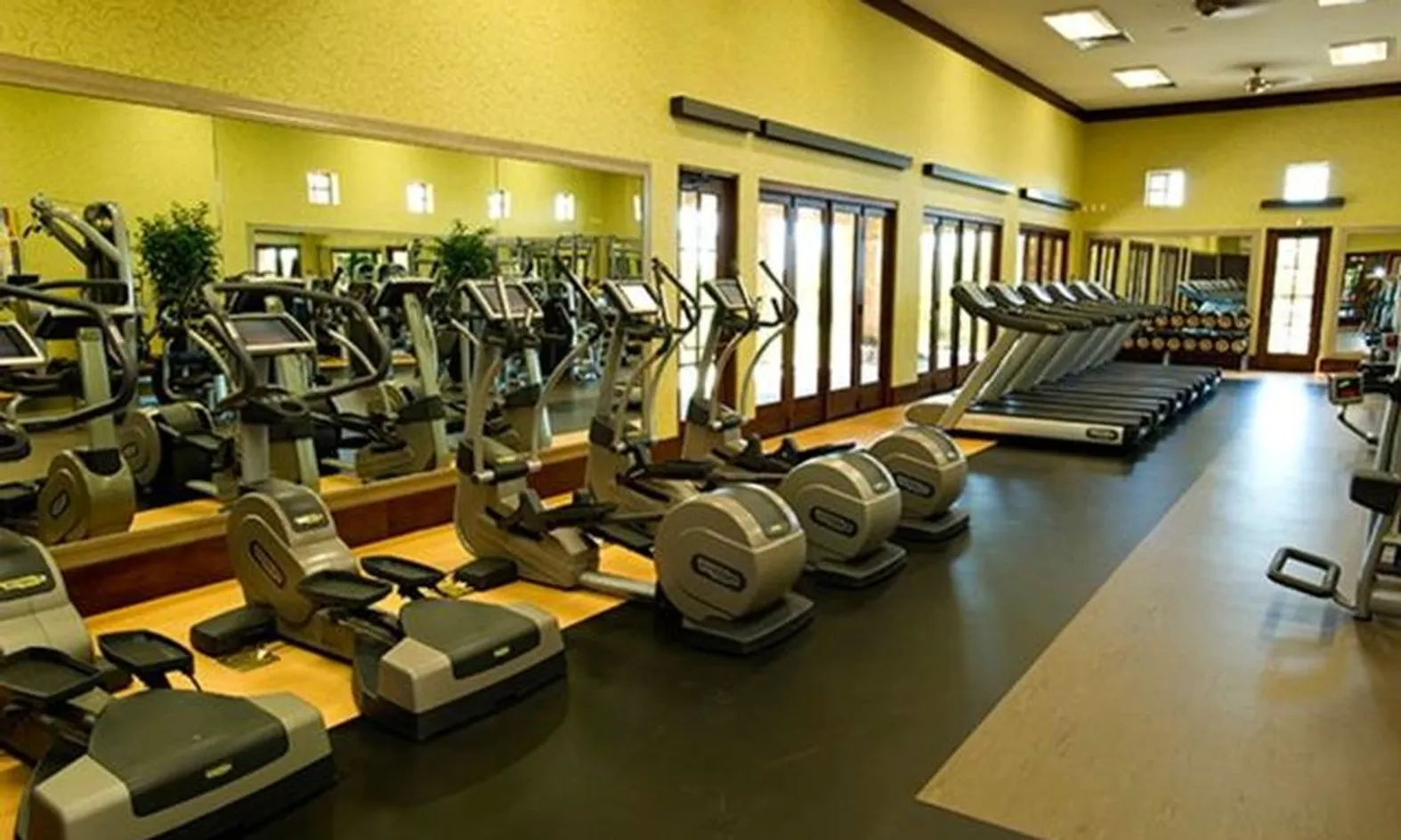 State-of-the-Art Exercise Equipment