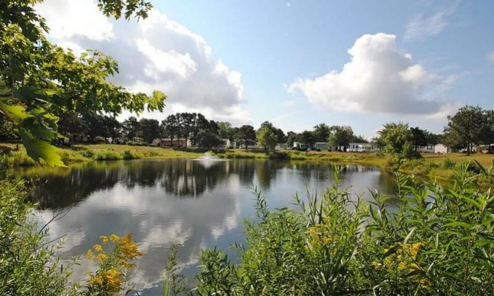 Scenic Ponds