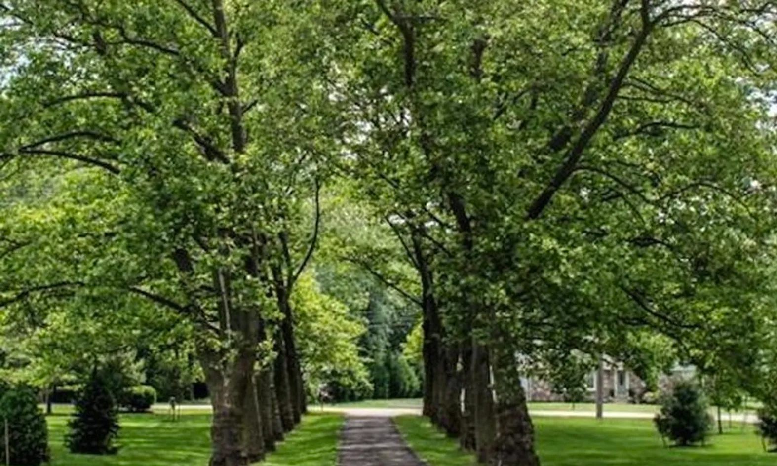 Walking & Biking Trail