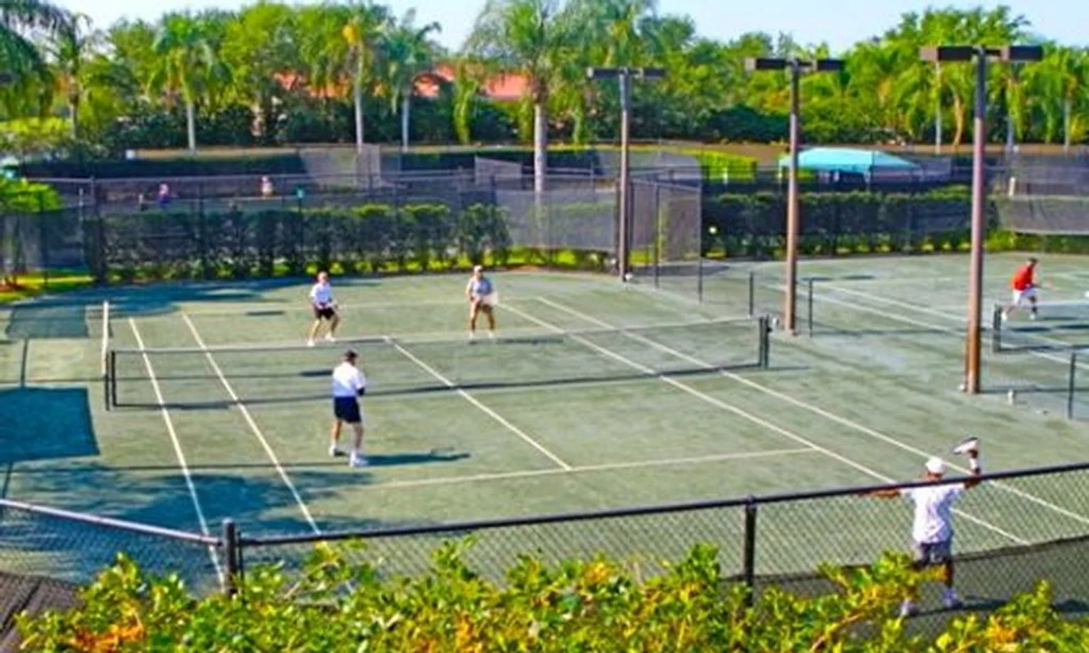 12 Har-Tru Tennis Courts