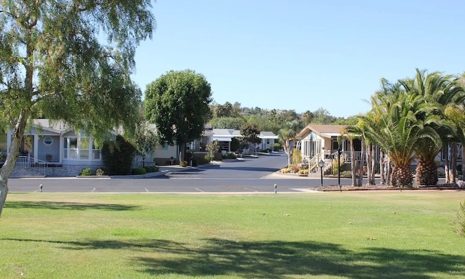 Scenic Grounds