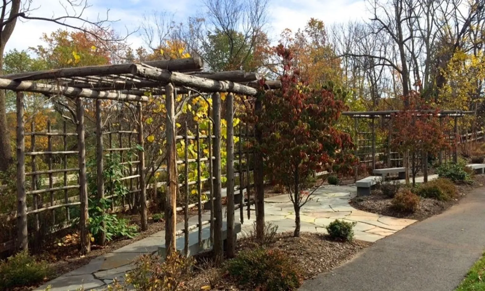 The Woodland Garden