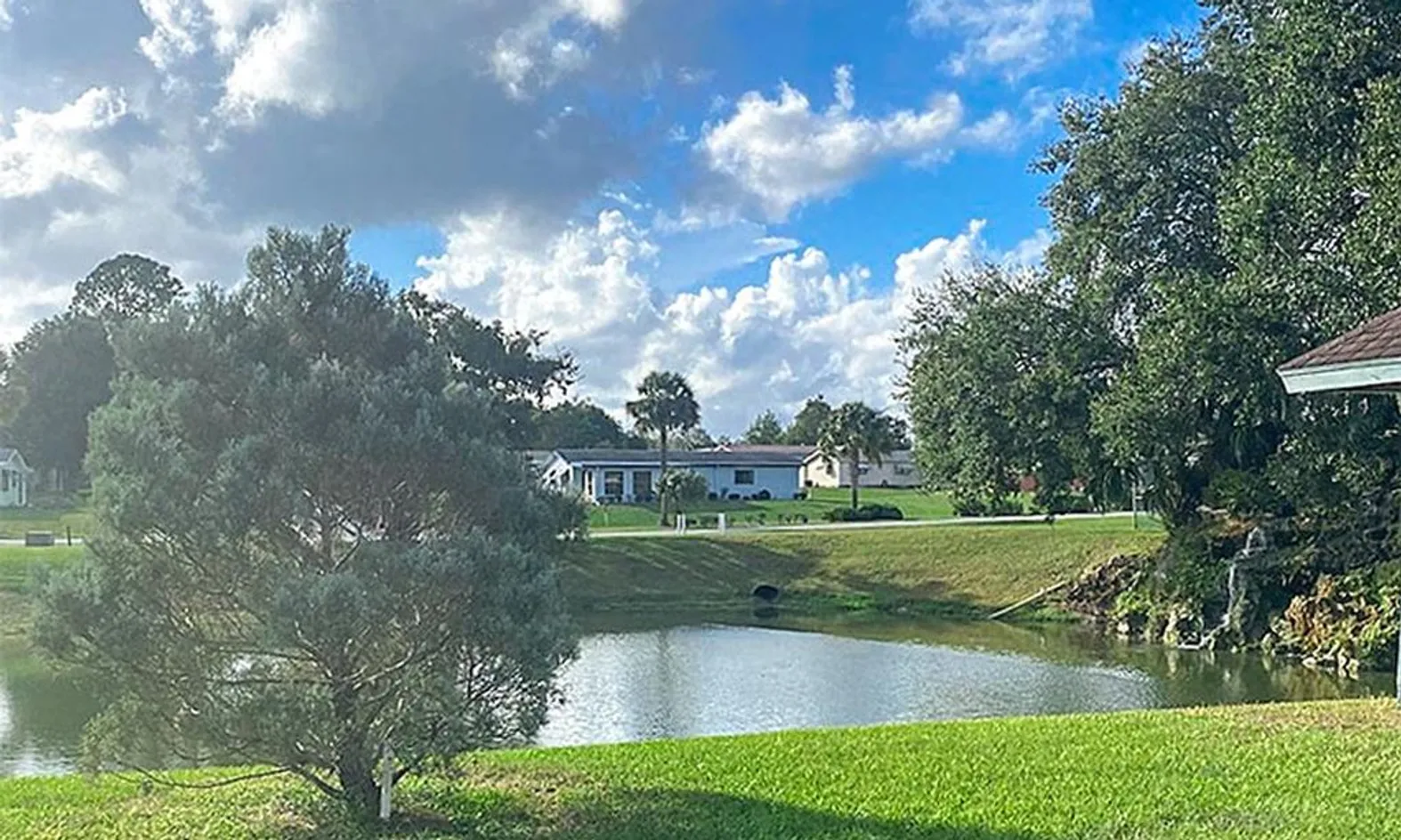 Pond