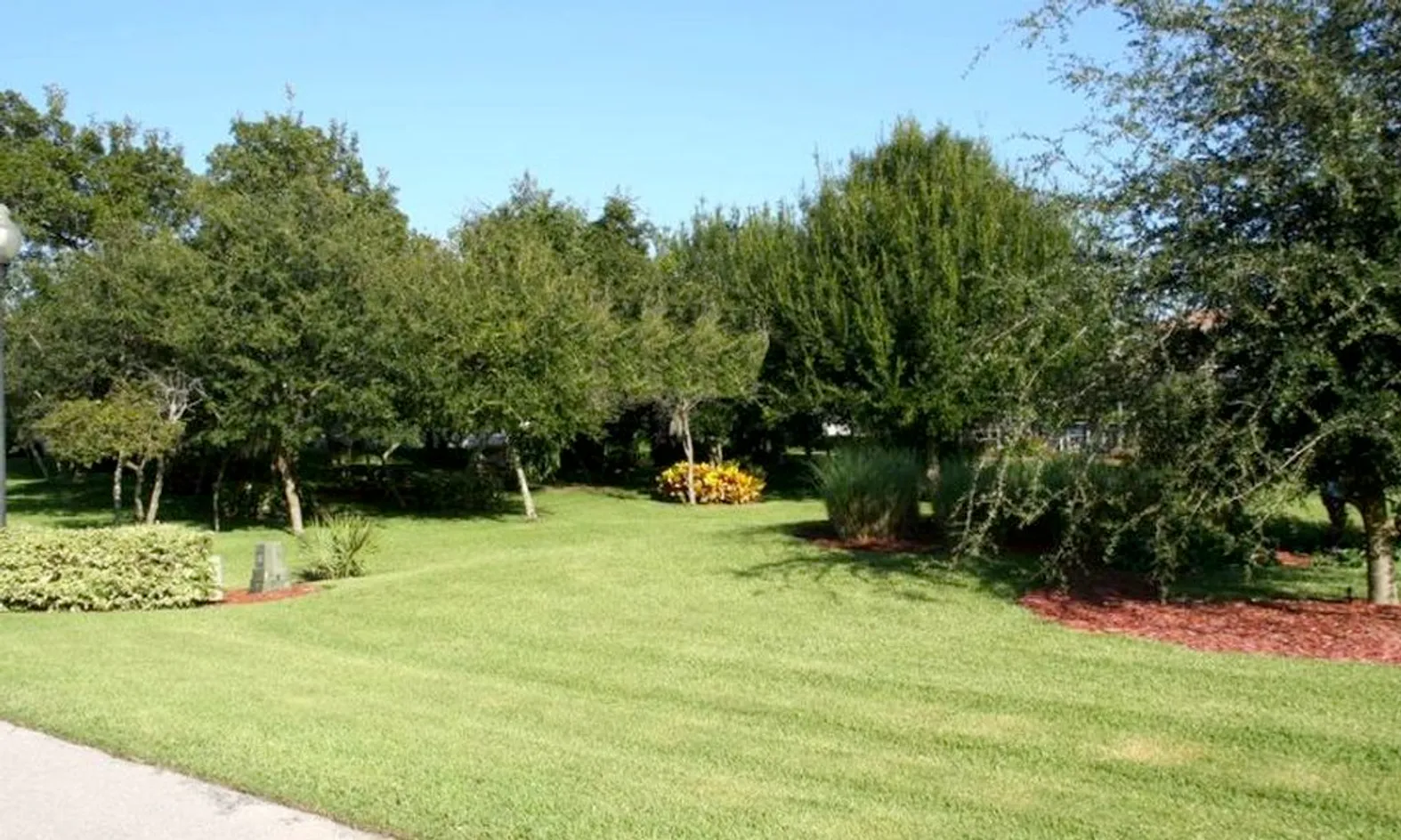Scenic Park Space