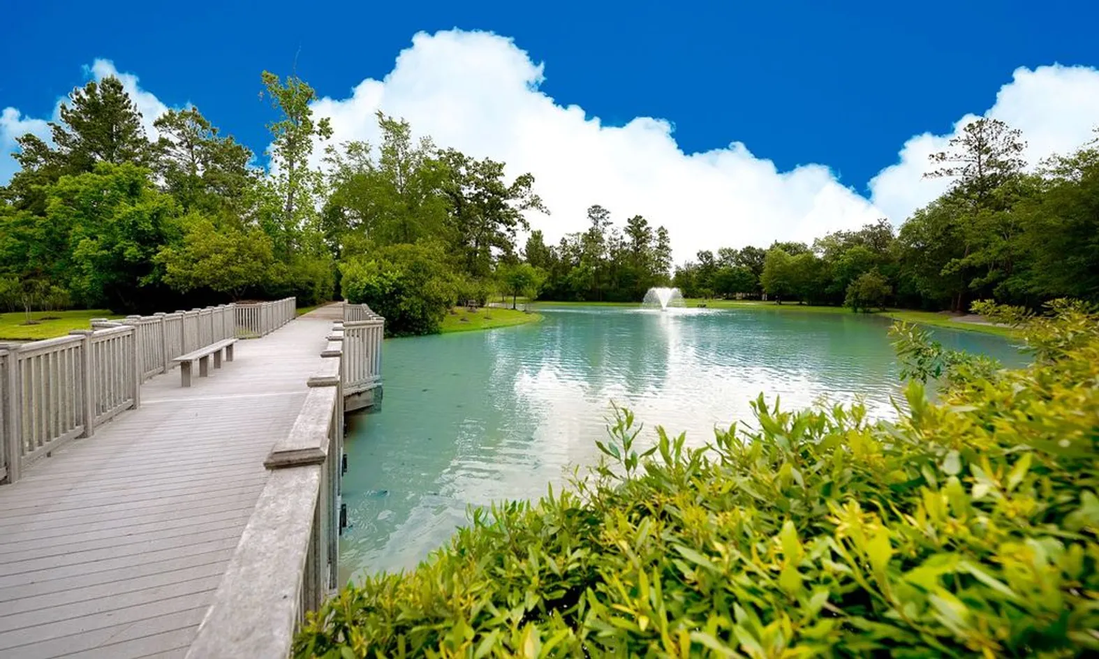 Scenic Pond
