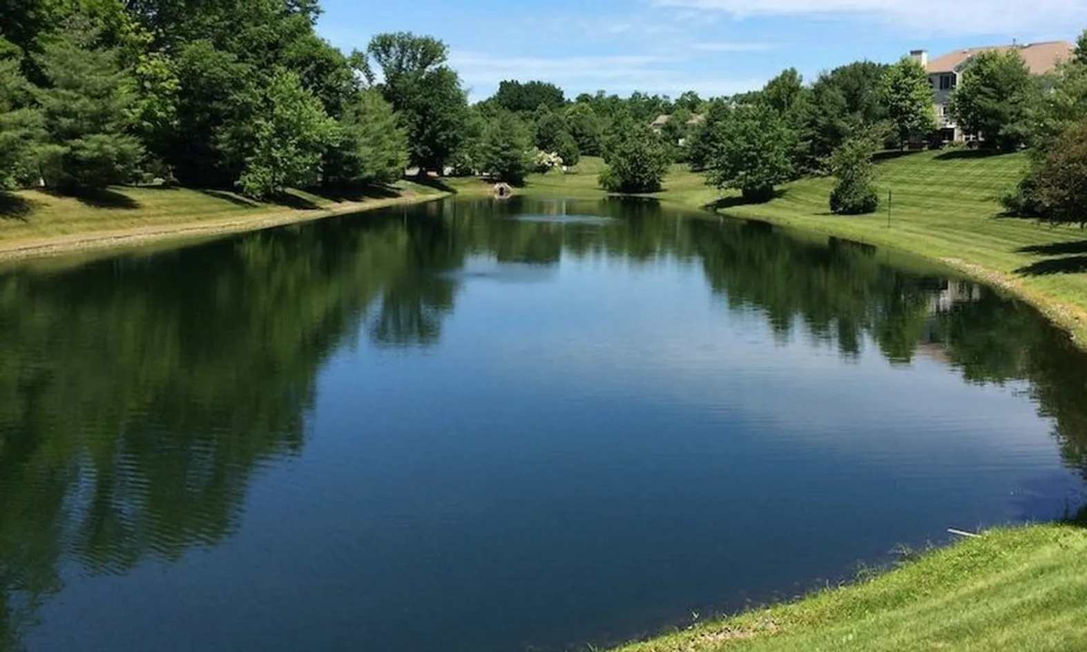 Scenic Pond