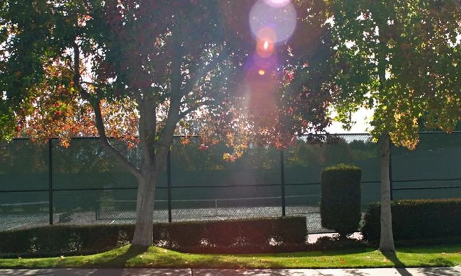 2 Tennis Courts